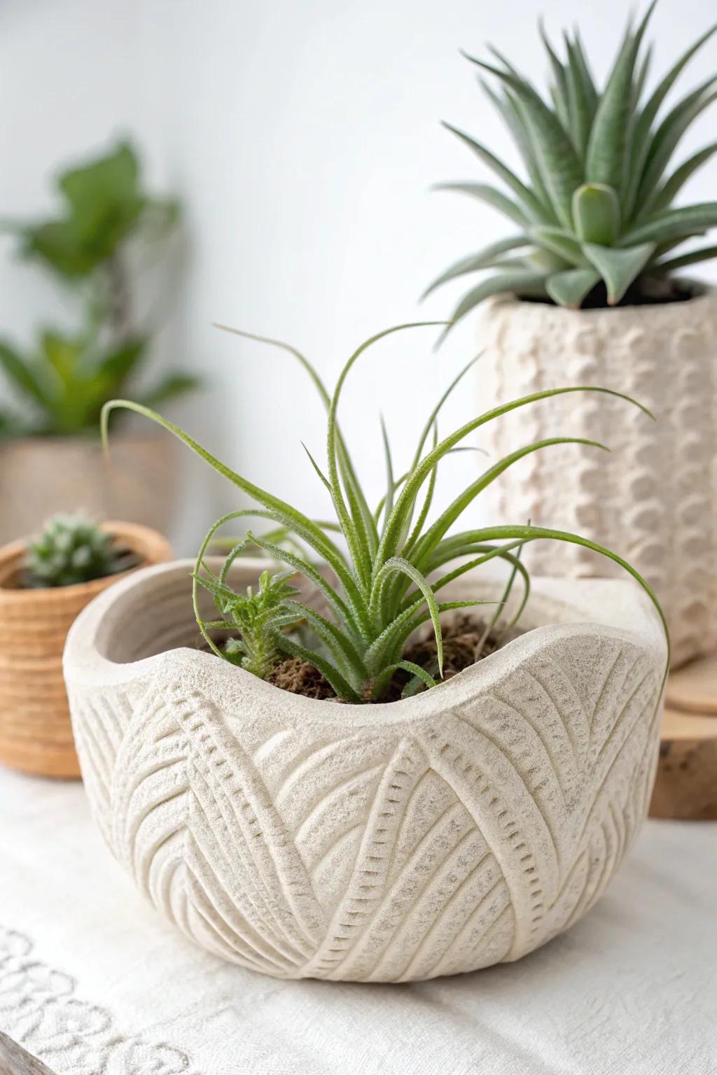 Elevate your space with handcrafted elegance: a minimalist clay air plant holder that celebrates simplicity and style.