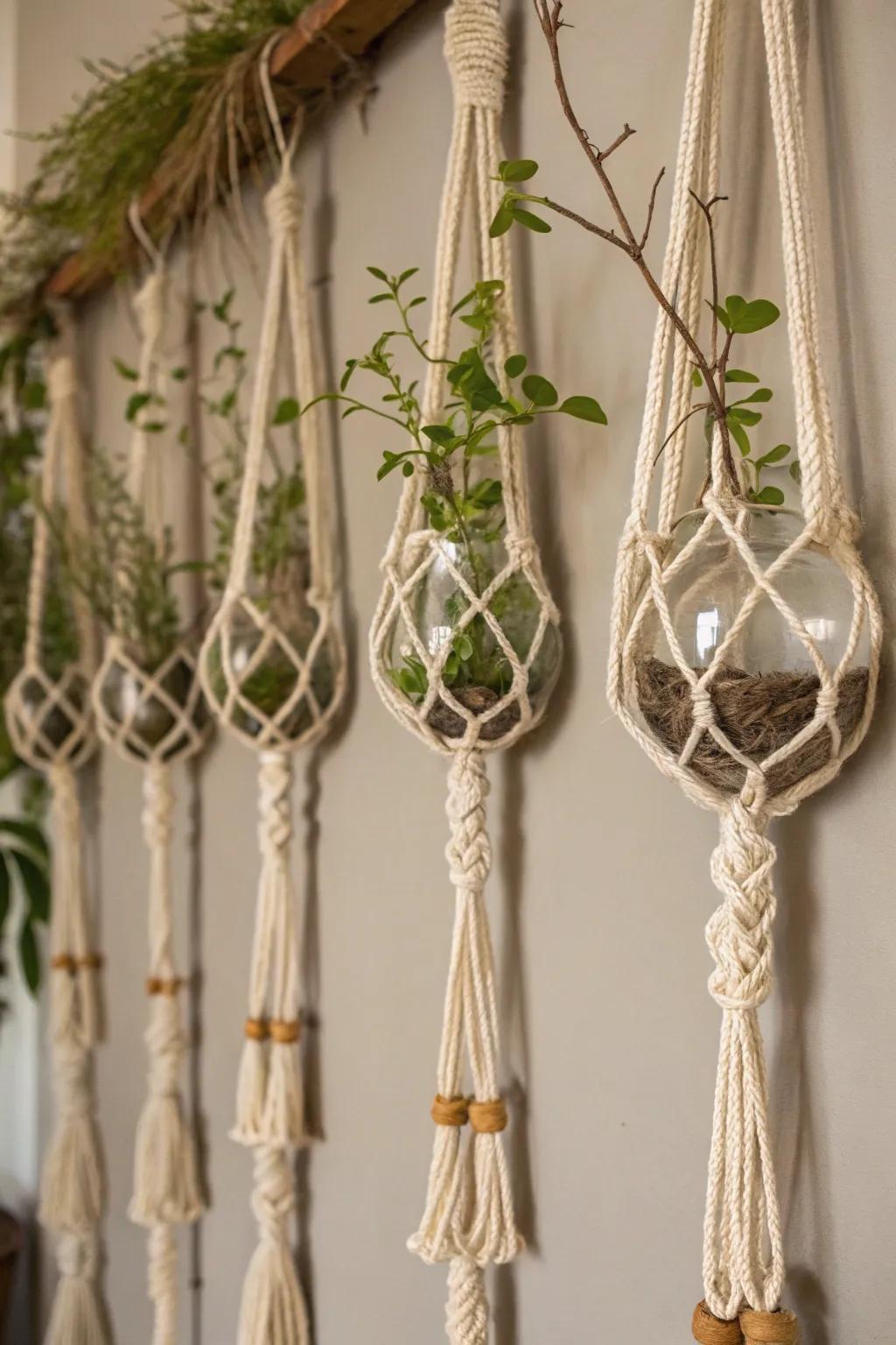 MacramÃ© plant holders provide a bohemian touch to the propagation wall.