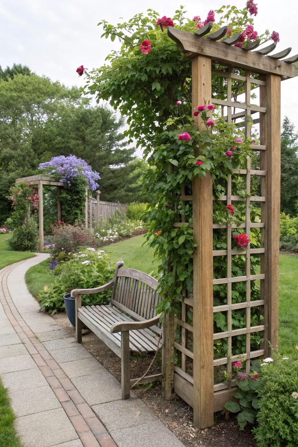 Climbing plants transform a vertical trellis into a living wall.