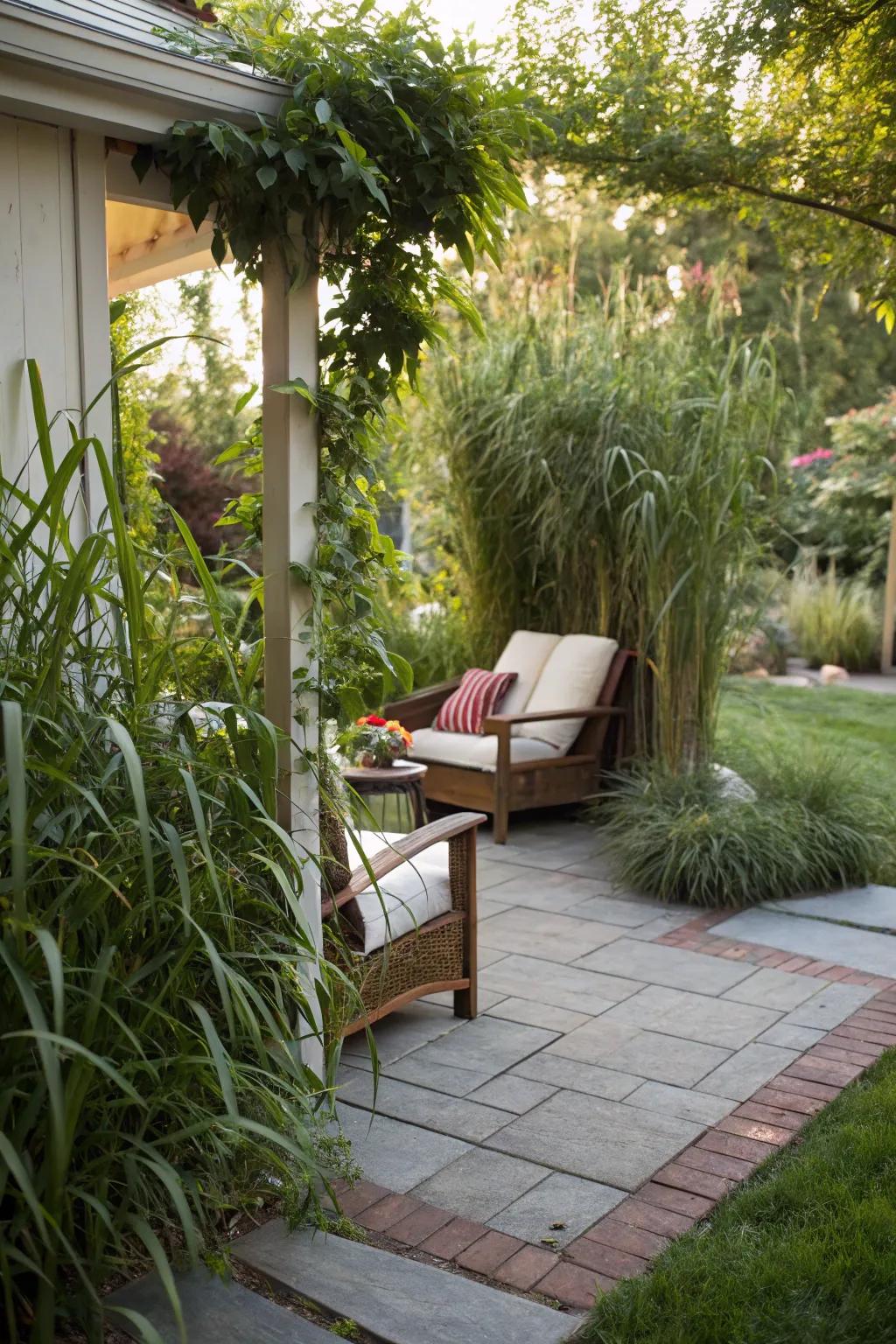 A secret nook on a paver patio, offering privacy and tranquility.